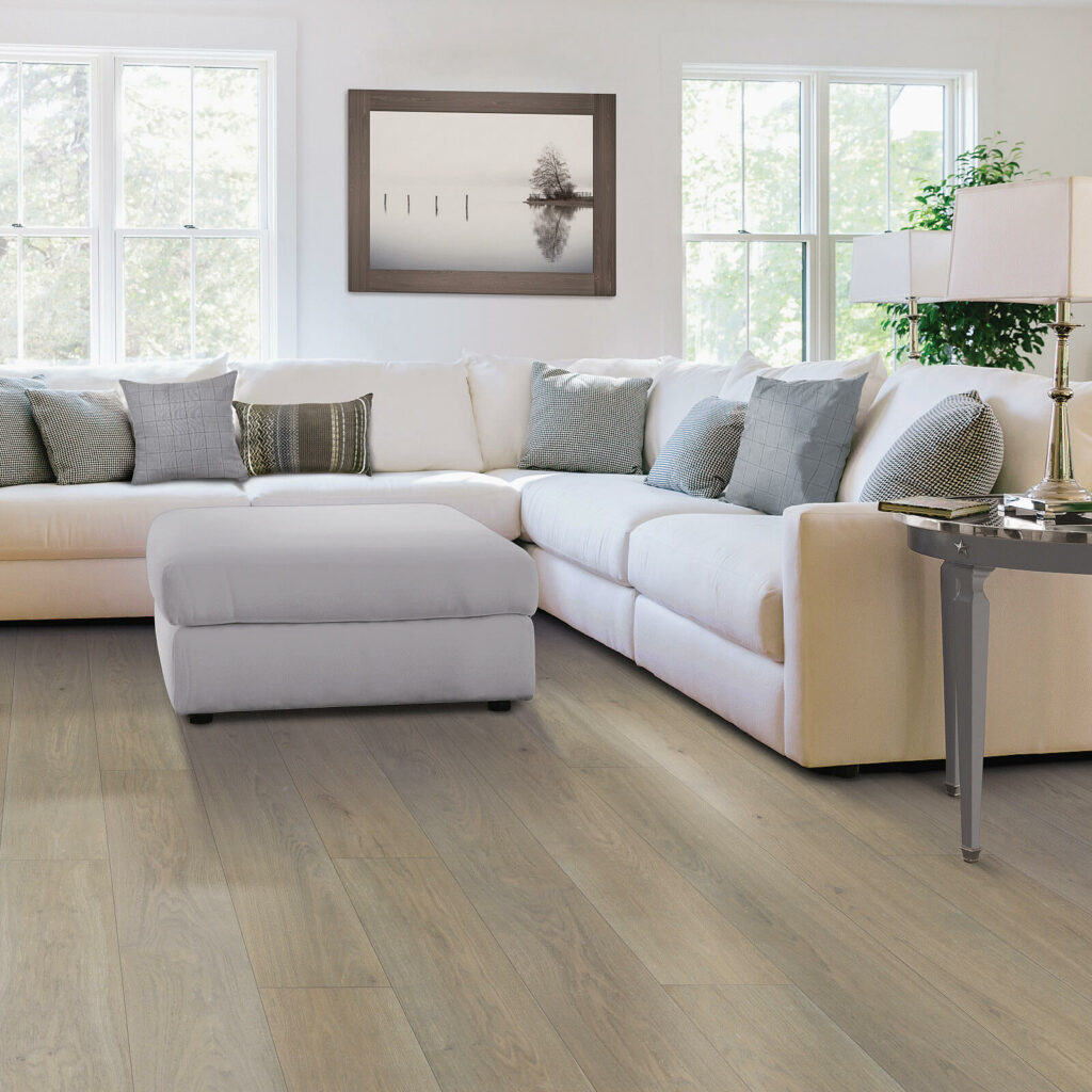 Couch on hardwood | The Carpet Gallery